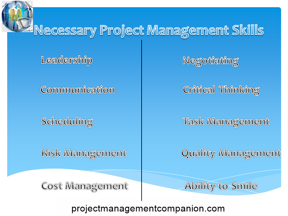 Project Management skills

